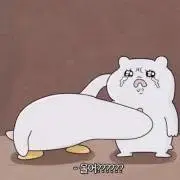 Rの画像
