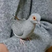 すず
