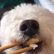 れみ