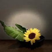 Happy 87の画像
