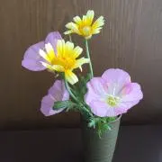 エリの画像