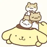 ぽむの画像