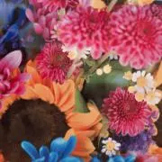 ぴいこ　＊9/29即日発送の画像