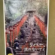 貴船のぽちの画像