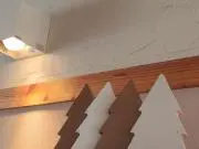 marunoriの画像