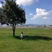 minamiの画像