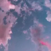 luluの画像