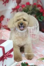 ママの画像
