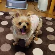 もこ