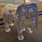 ミミナナの画像