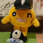 kaedeの画像