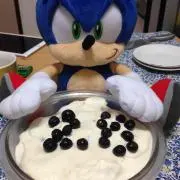 すかごの画像