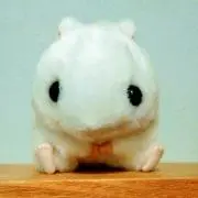 mayの画像
