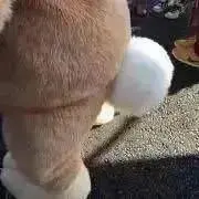 Gr⭐︎の画像