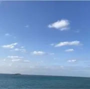 ぴんの画像