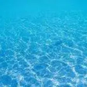 サリューの画像