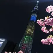 RBGの画像