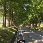 scramblerの画像