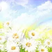 mii ꕤ*.の画像