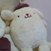 ぽむの画像