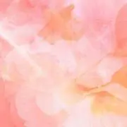 Haco*の画像