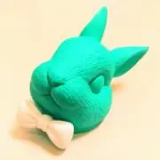 きのコの画像