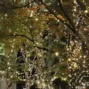 みめいの画像