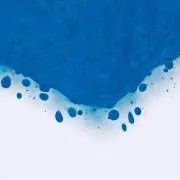 みかん