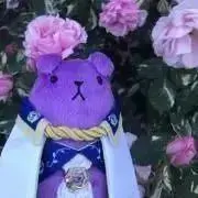 けちゃの画像