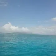 あおい