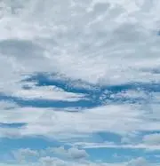 オルの画像