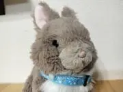takの画像