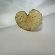 ミカサの画像