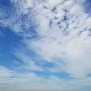 tam