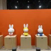 まーちの画像