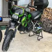 むーの画像