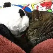 あとむ