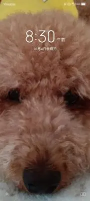 春彦