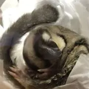 アリチュ必ずプロフ必読質問逃げNG!