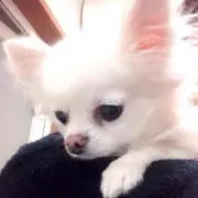 m..