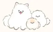 しばまろの画像