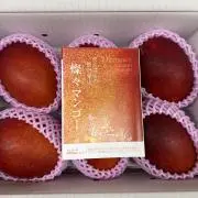j2の画像