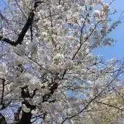 スマイル(*^^*)の画像