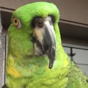 hiroの画像
