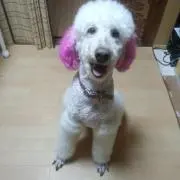 キャサリン