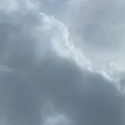 李