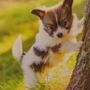 アプリコットグリーン