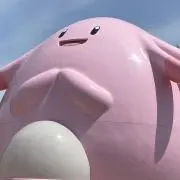 ぽりるんの画像
