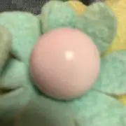 Enjoyの画像