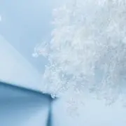 ぶっくの画像